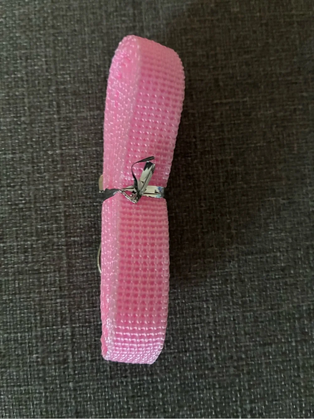 NWOT Pink Dog Leash